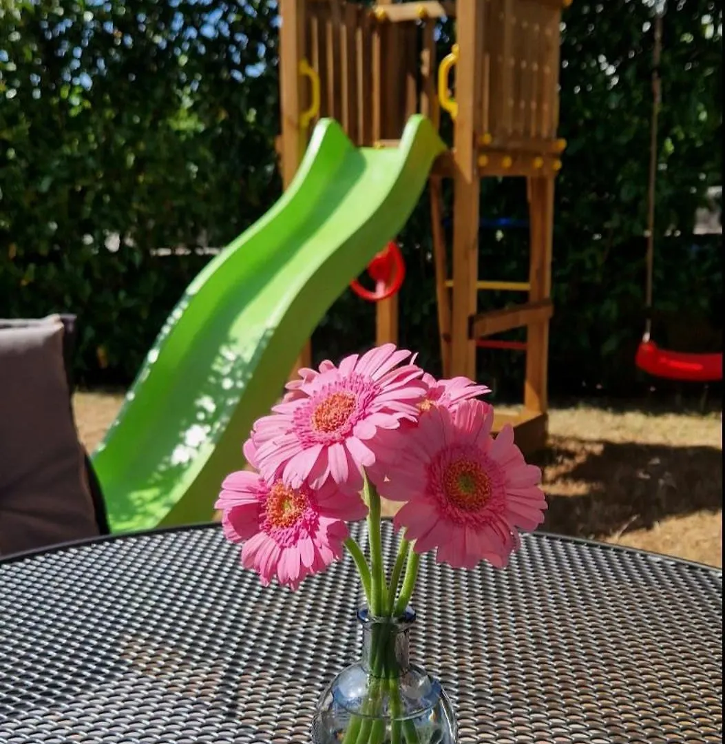 Apartment Apartmani Assa Krk Krk Town Croatia